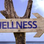 Wellness and Illness Explained