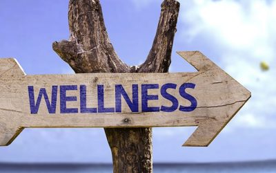 The Illness-Wellness Continuum