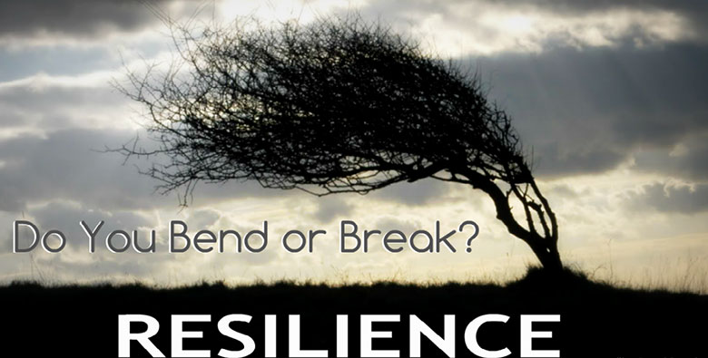 Resilience — Working Through Life’s Adversities
