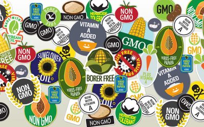 Dr. Sharlin Responds: GMOs Really Aren’t That Bad, Right?