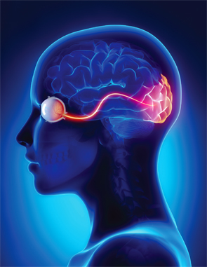 Neuromyelitis Optica (NMO)