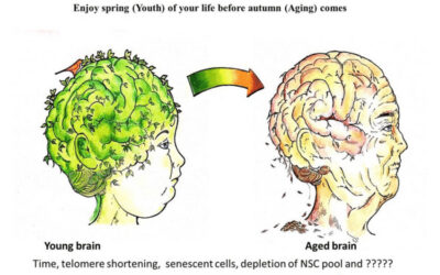 Cognitive Decline: Early Signs You Must Notice | Springfield, MO