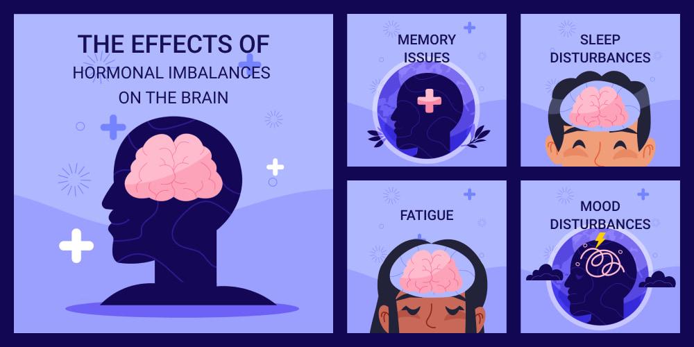 Hormonal Changes and Brain Function